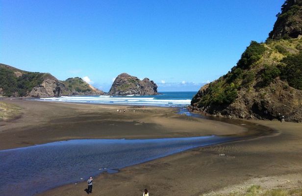 Piha Waitakere Rainforest Wine Tour from Auckland