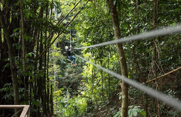 Treetop Canopy Adventure