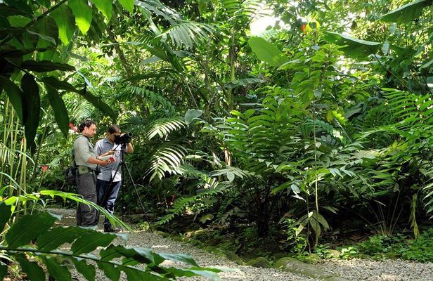 Nature Walk at Ecological Park and Butterfly Garden Danaus