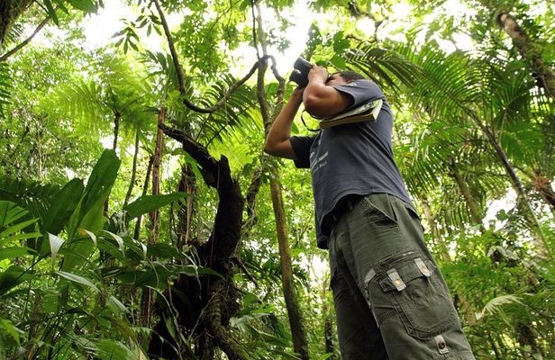 Birdwatching at Mundo Aventura Natural Park