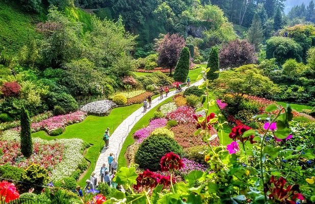Ultimate Group Package Tour of Victoria