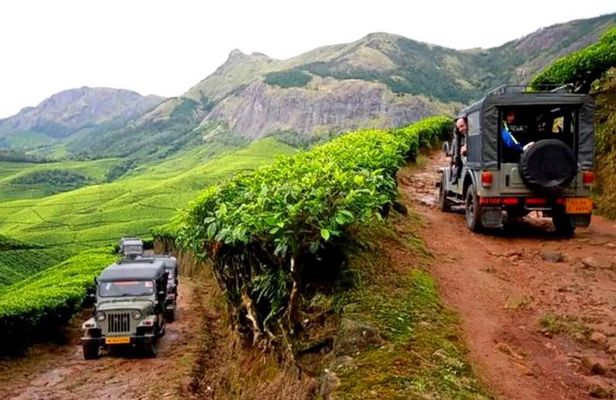 Kolukkumalai Jeep safari -tea trail and Orthodox Tea Factory visit -Private Tour