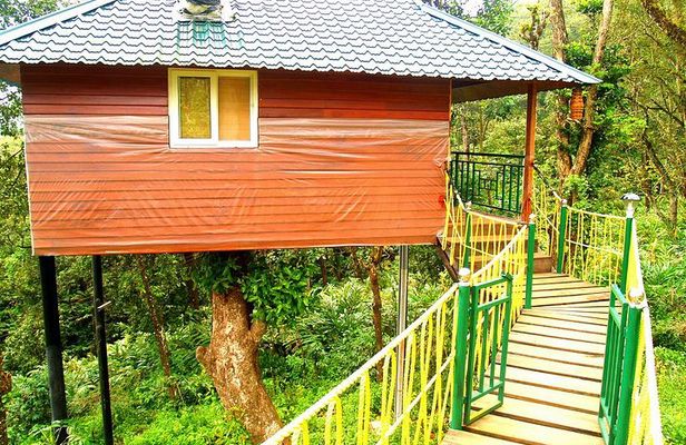 Private 4-Day Tour of Munnar and Aleppey with Houseboat Cruise