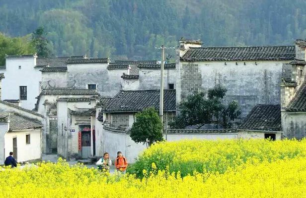 3-Day Private Huangshan Tour: Hongcun Village & Overnight on Mt Huangshan