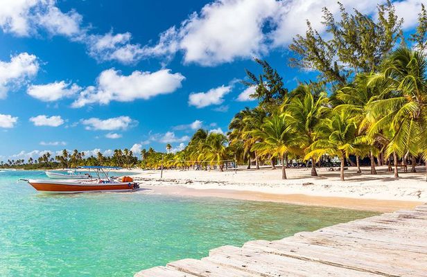 Full-Day Cruise to Saona Island - Natural pool and lunch