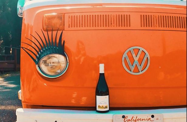 Painted Ladies Wine Country Tour