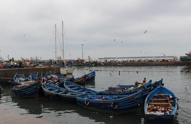 Private Day trip from Marrakech to Essaouira