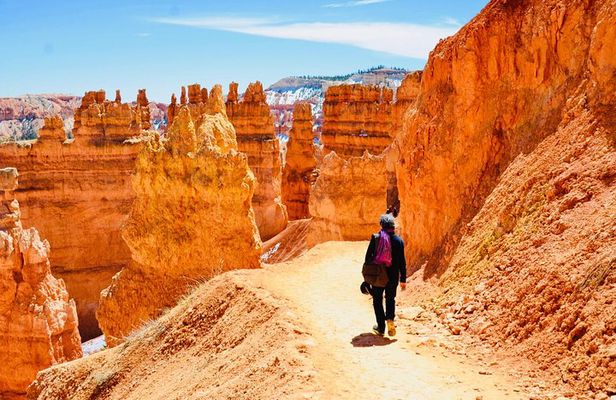 Zion and Bryce Canyon Small Group Tour from Las Vegas