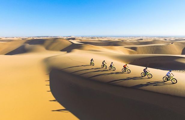Scenic Desert Tour by Bike