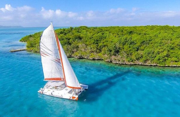 Private Charter Full Day Cruise: Île aux Cerfs