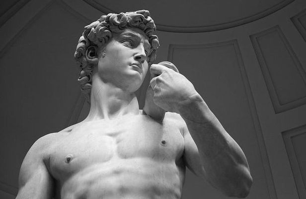 The Accademia Gallery in Florence with your private guide
