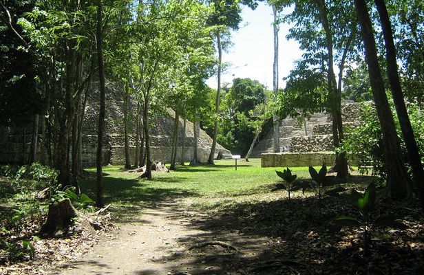 Full-Day Caracol Maya Temple and Pine Ridge Forest Reserve
