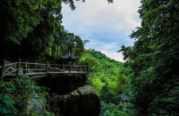 Plog and Hike Mount Mogan Nature Reserve – Guided Outdoor Tour from Hangzhou