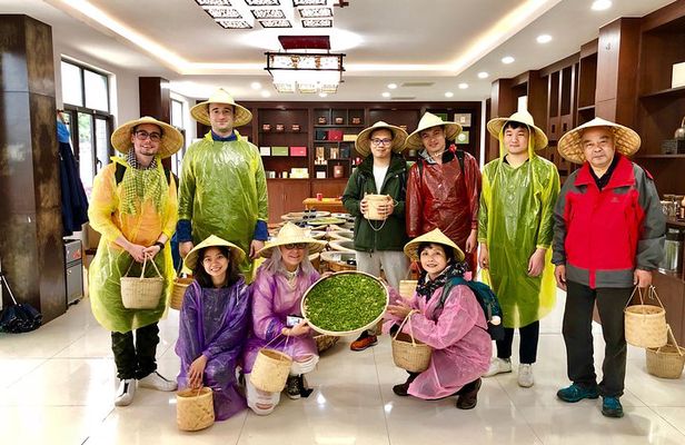 1-day Village Tea Picking, Roasting & Serving Guided Private Tour from Hangzhou