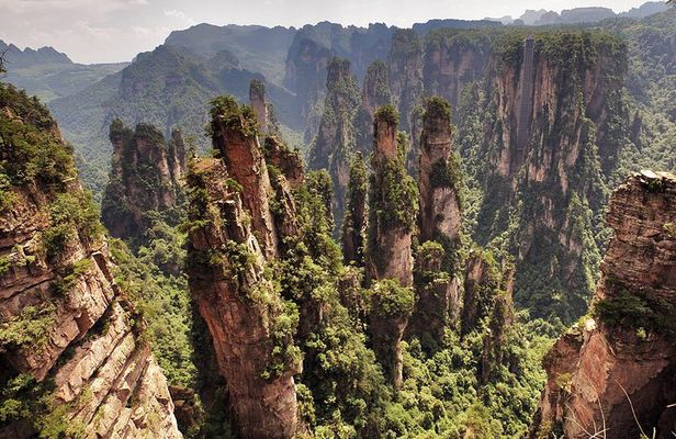 Private Day Trip: Zhangjiajie National Forest Park And Tianzi Mountain