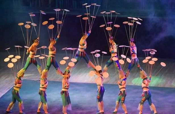 Beijing Night Tour Of Acrobatics Show Including Private Transfer