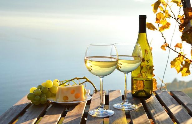 The Hamptons and Long Island Wineries Private Tour