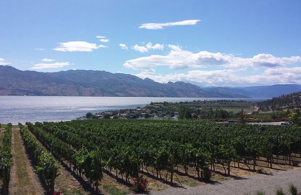 Tour and Taste Okanagan's Wine Country