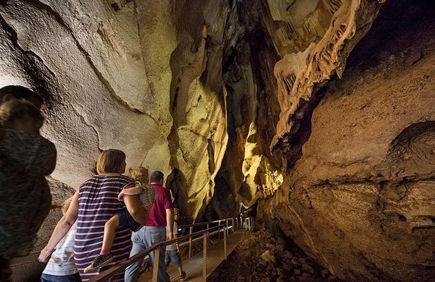 Cutta Cutta Caves Nature Park Guided Tours