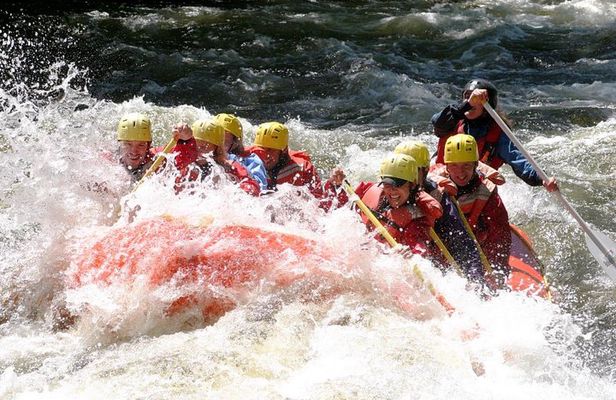 8 Day Private Tour Sri Lanka with Wildlife & Outdoor Experiences from Colombo