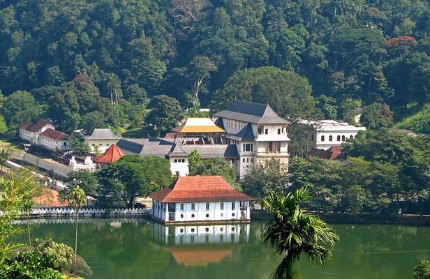 Exclusive : Last Kingdom Private Day Tour in Kandy