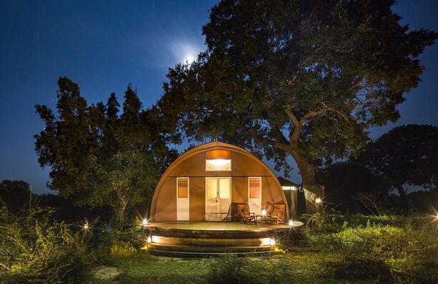 2 Nights Luxury Wild Experience in Leopard Nest with return transfers