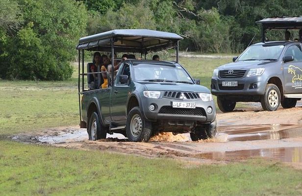 All Inclusive Private day tour to Wipattu National Park From Negombo