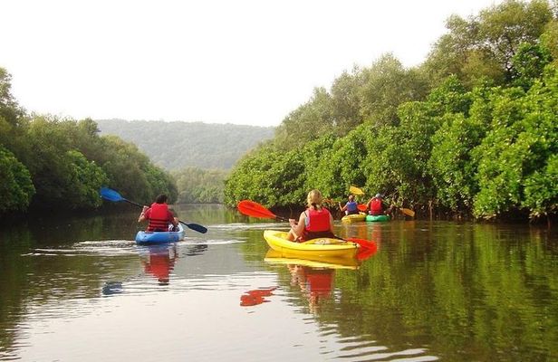 Goa Kayaking in Spike's River
