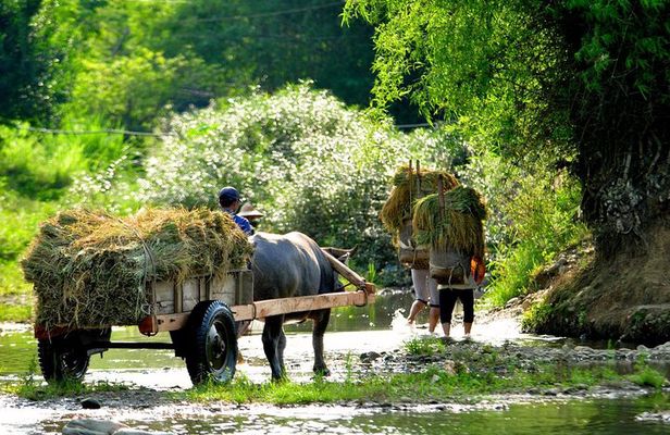 2-day Pu Luong Natural Reserve from Hanoi