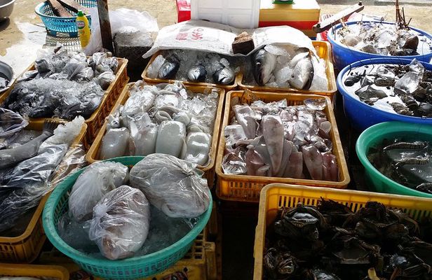 Private Half-Day Nha Trang Highlights Tour