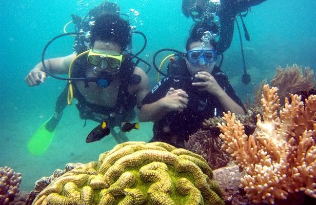 Private Scuba Diving Tour Nha Trang Included Lunch