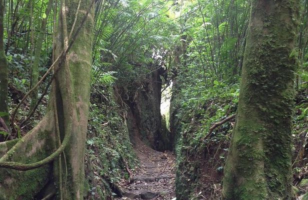 Mombacho Volcano Hike and Ziplining Adventure from San Juan del Sur