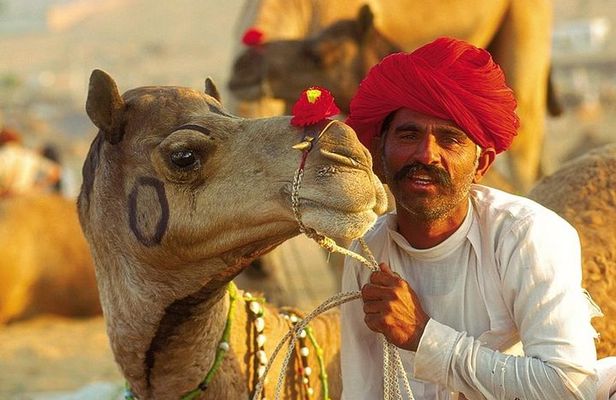 Exclusive: Guided Pushkar Day Trip from Jaipur