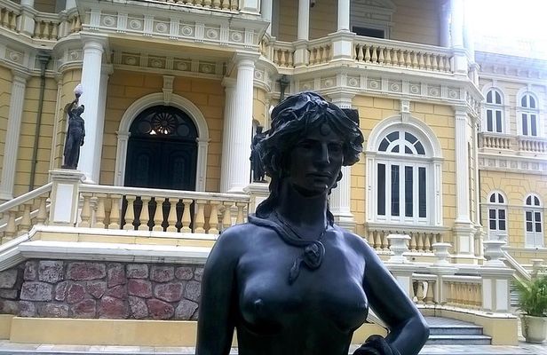 The Manaus City Tour and Meeting of the Waters
