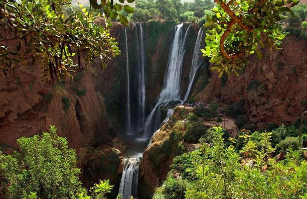 Ouzoud Waterfalls Full-Day Tour from Marrakech