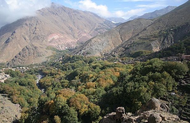 Guided Day Trip to Atlas Mountains from Marrakech