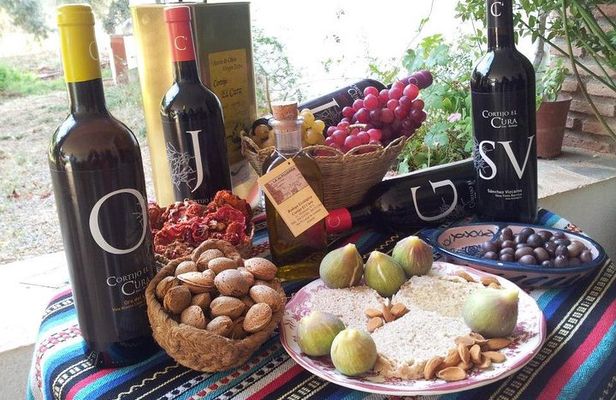 Almería Wine tour, tasting in Bio Winery and aperitif in English