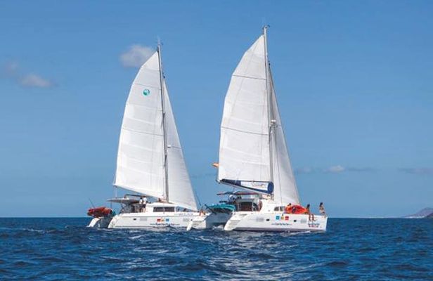 4-Hour Sailing Tour of Lobos Island from Fuerteventura