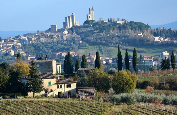 Private Tuscany Day Tour: San Gimignano and Chianti Wine Region from Florence