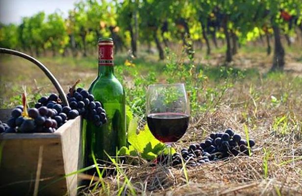 Private Wine Tour to Kakheti from Tbilisi
