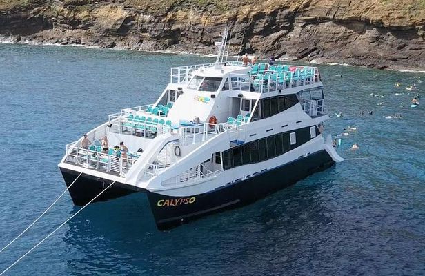 Molokini Snorkeling Adventure Aboard Calypso From Ma'alaea Harbor