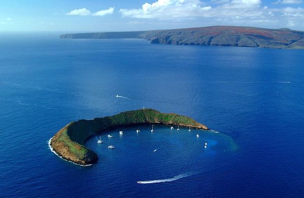 Molokini and Turtle Town Snorkeling Adventure Aboard the Malolo