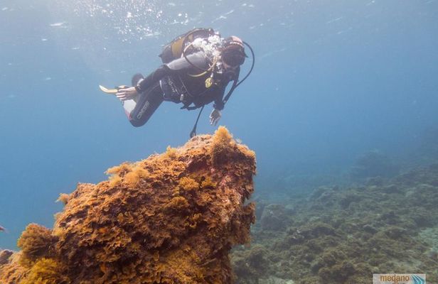Dive Baptism 1 Dive In Tenerife 3,5h