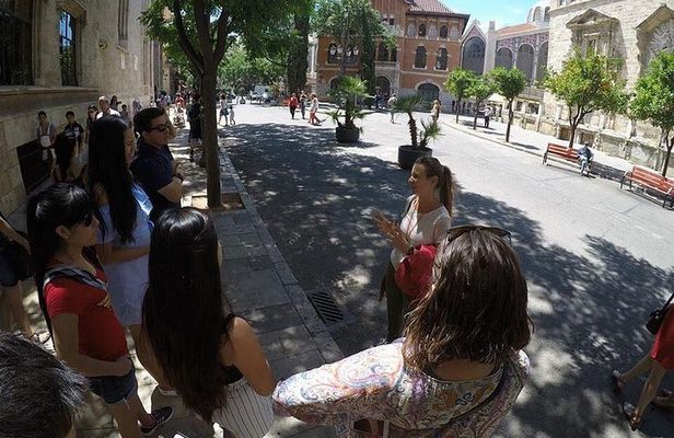 Valencia Private Walking Tour with Official Valencian Guide