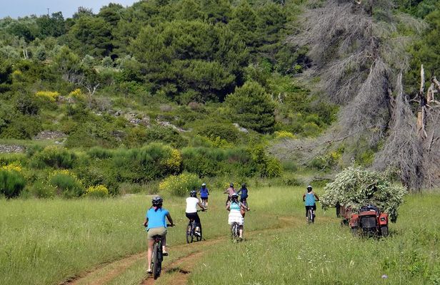 Kayak and Bike Tour to Sipan island from Lopud