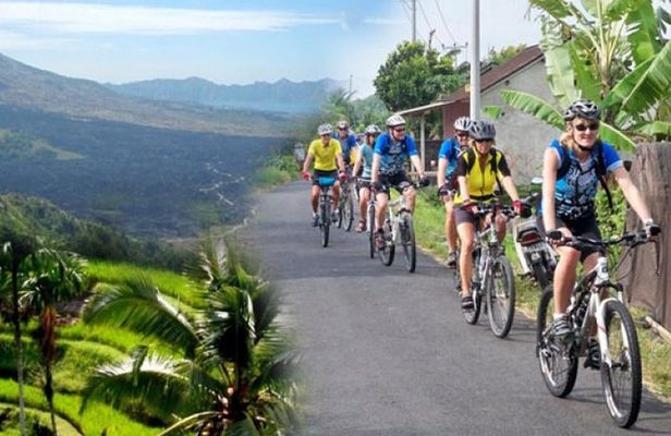 Best Kintamani - Ubud Bali Bicycle Tours