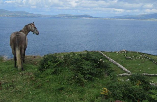 Luxury Photography Day Tour on Ring of Kerry and Skellig Ring - Fully Guided and Chauffeured