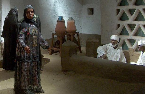 Private Tour To Aswan Nubian Museum