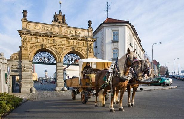 Pilsner Urquel brewery with tasting + sightseeing (from Prague)