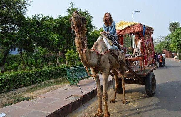 1Night & 2Days Agra & Jaipur Transportation with local guiding experience